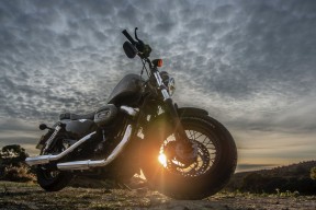 开云官方-2024年埃及队表现：如何克服强敌，实现新突破，你知道埃及战队吗