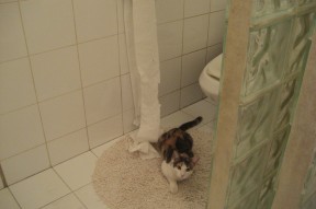 kaiyun网站-欧洲杯逆转奇迹：战术变化，奇迹诞生！，欧洲杯奇迹再现