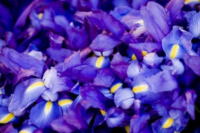 开云·Kaiyun网页版-体育赛事影响力排行榜新一期榜单出炉，体育赛事价值排行