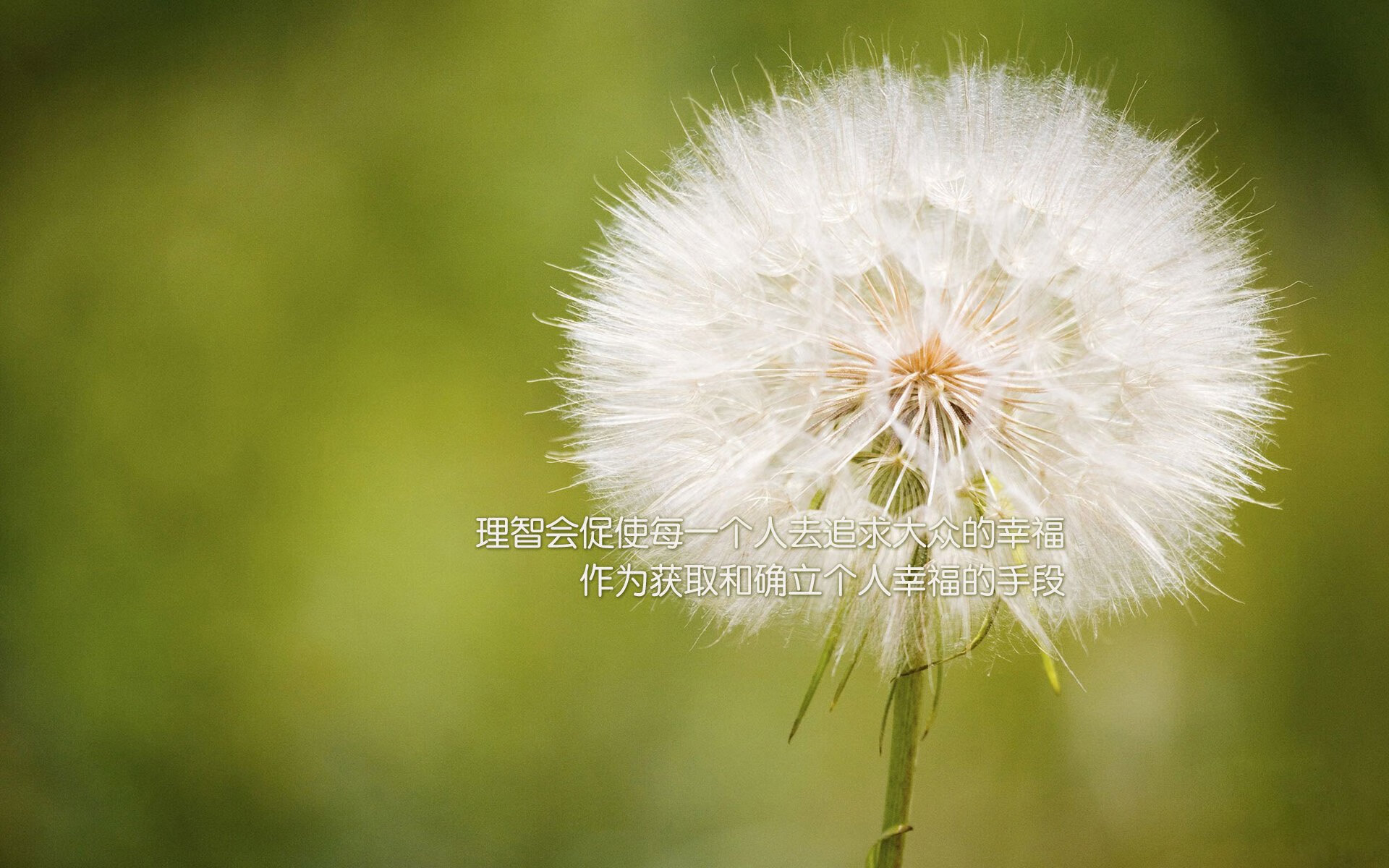 青少年乒乓球运动发展路径与实践成果