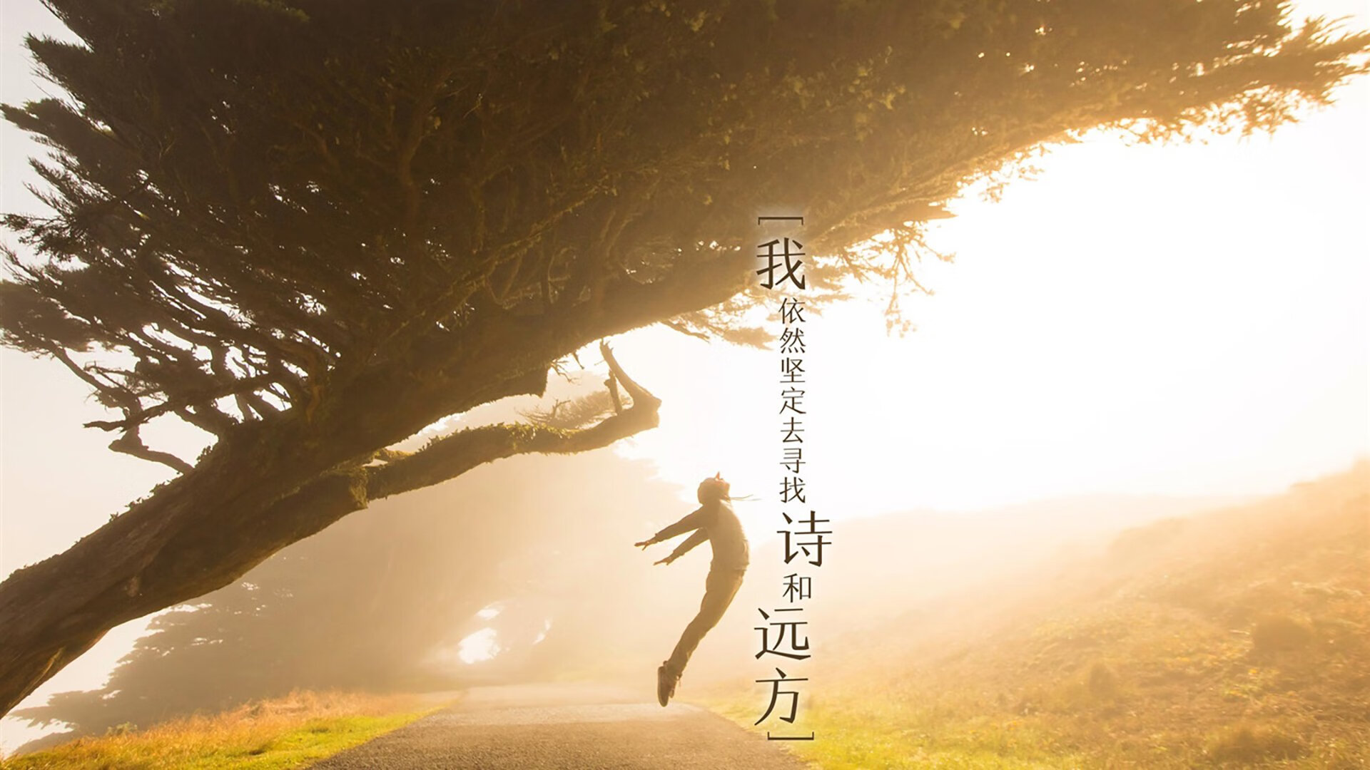 校园足球竞赛评价体系尚未完善,校园足球竞赛制度