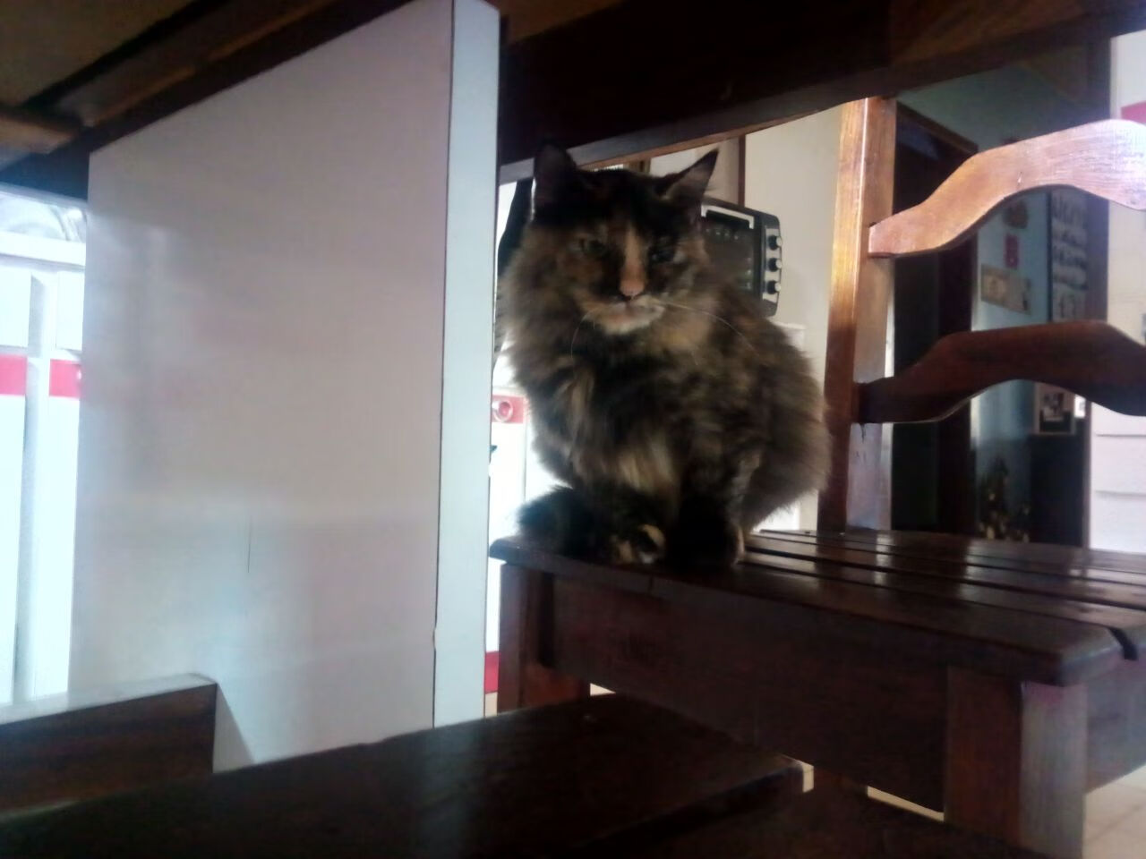 体育新闻中心发布电子竞技国家培训基地选址规划,电竞培训及体验基地