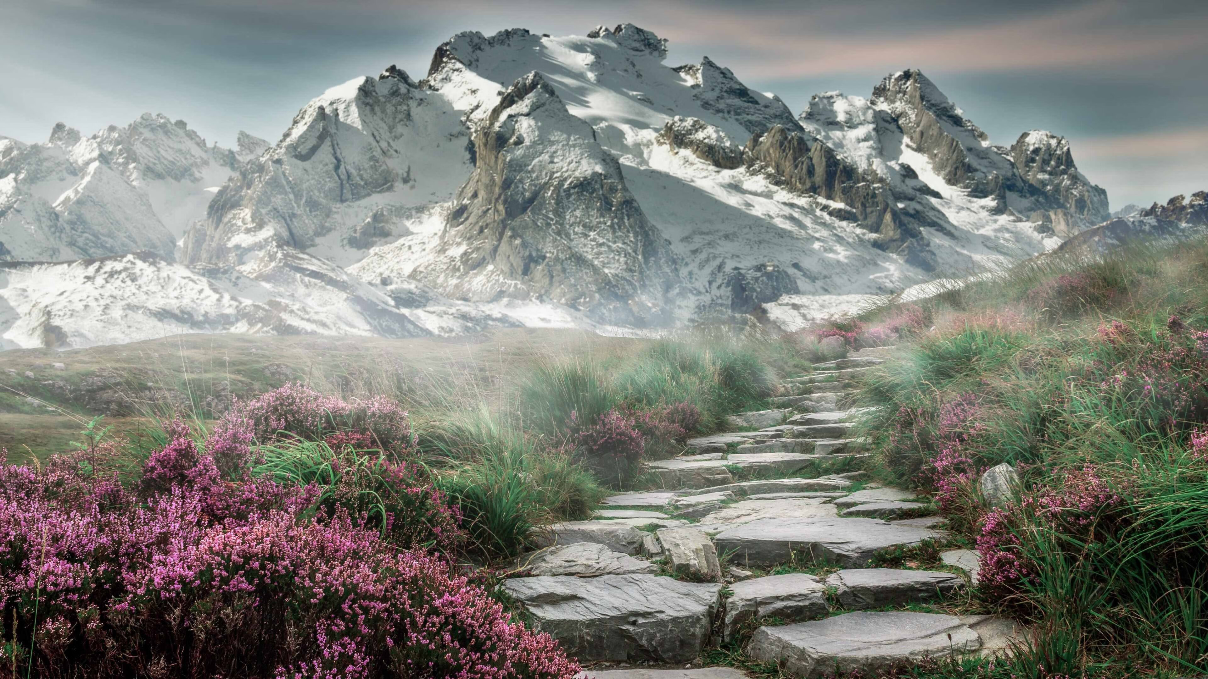 女篮全国锦标赛开赛各地方队展开激烈角逐争冠,中国女篮世界锦标赛