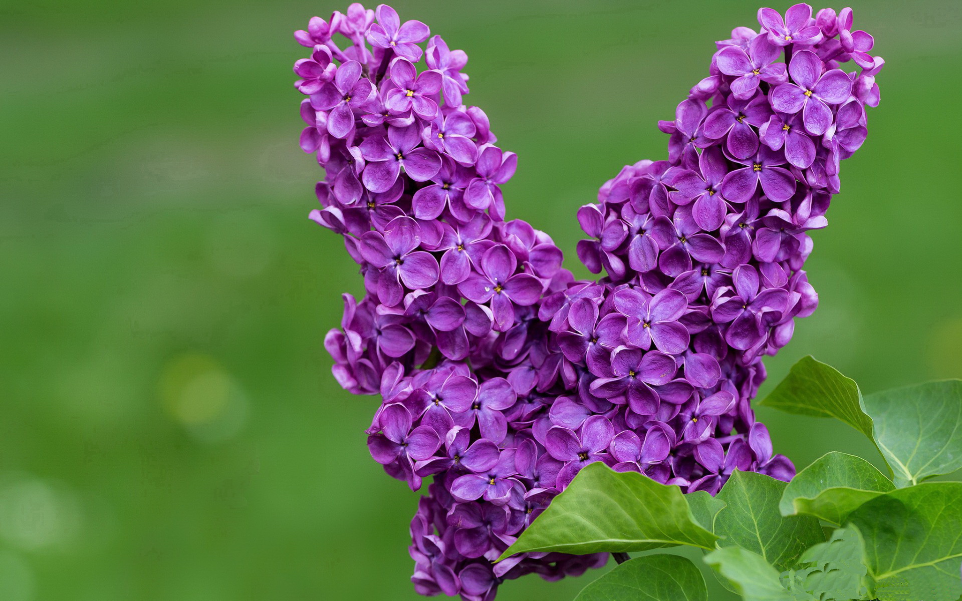 希腊女篮在欧洲锦标赛中继续豪夺金牌,传承辉煌,希腊女篮u20直播