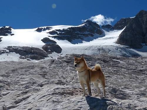 意甲细腻控球:展现足球的艺术魅力,意大利足球控球率