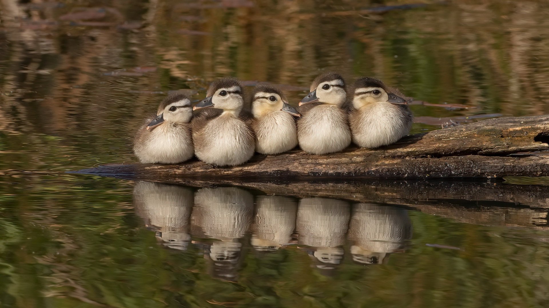 欧洲杯逆转奇迹:战术变化,奇迹诞生!,欧洲杯奇迹再现