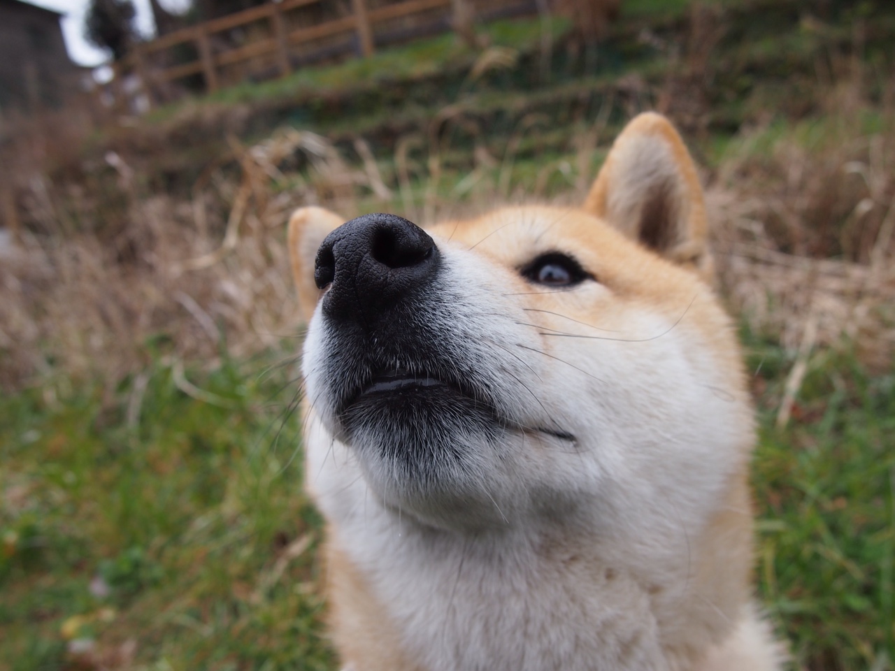 篮球联赛客场胜率成热门话题,篮球比赛主客场赛制