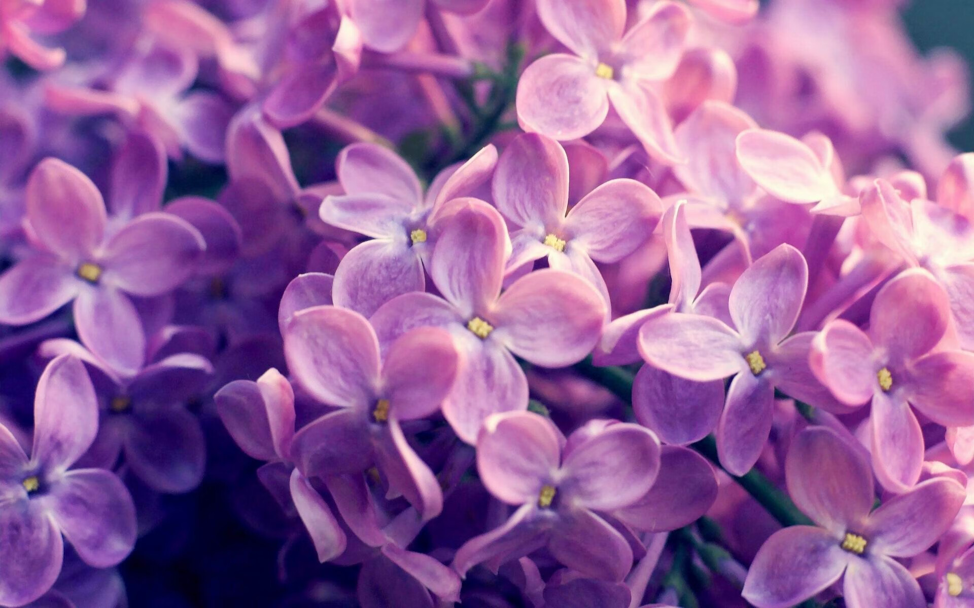 联赛组织者优化赛程减少团队长途奔波,运动表现获益,比赛组织有序