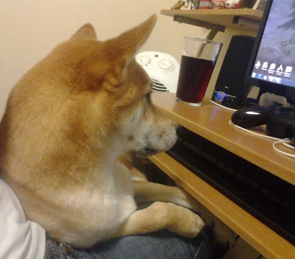 陈艺文：压力是进步的动力，压力是进步的源泉