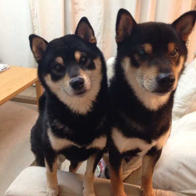 中国足球女足奥运资格之路关键比赛战术布局，中国女足奥运名单争议